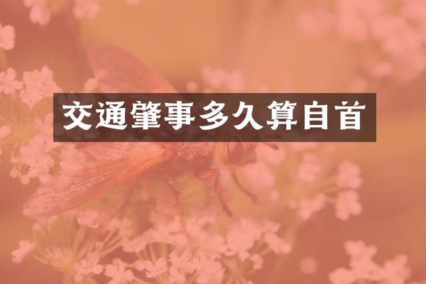 交通肇事多久算自首