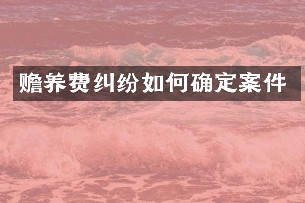 赡养费纠纷如何确定案件