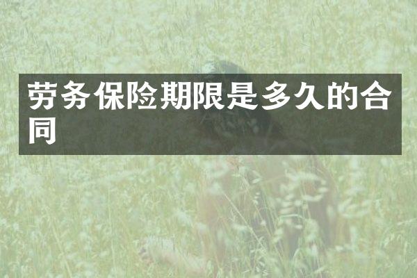 劳务保险期限是多久的合同
