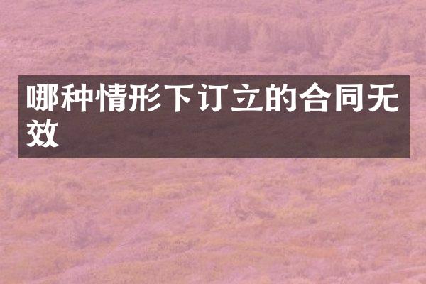 哪种情形下订立的合同无效