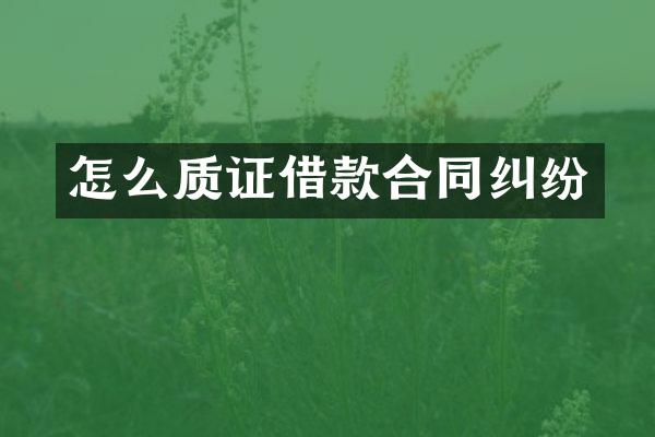 怎么质证借款合同纠纷