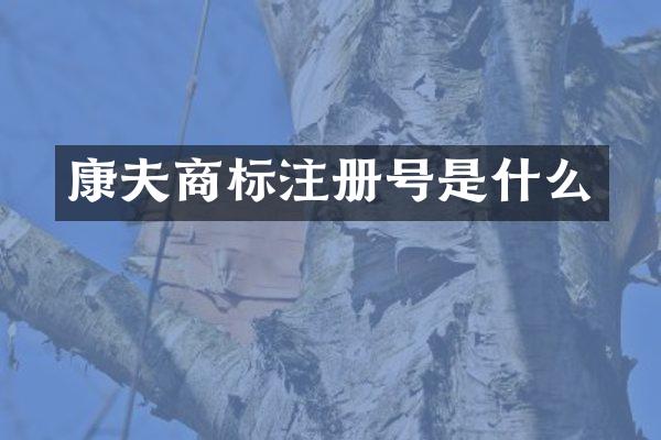 康夫商标注册号是什么