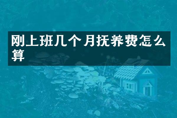 刚上班几个月抚养费怎么算