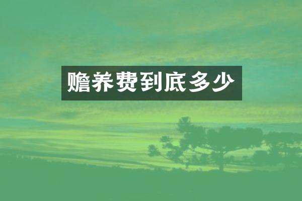 赡养费到底多少