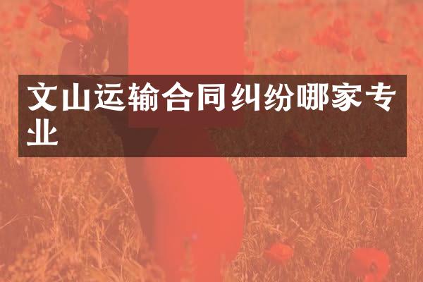 文山运输合同纠纷哪家专业