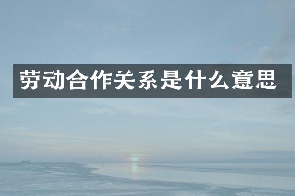 劳动合作关系是什么意思