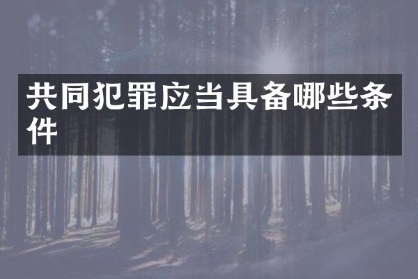 共同犯罪应当具备哪些条件