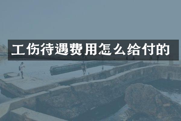 工伤待遇费用怎么给付的