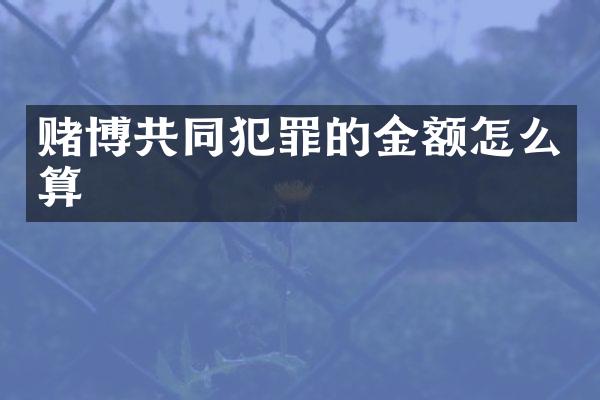 共同犯罪的金额怎么算