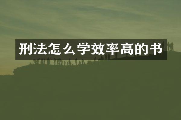 刑法怎么学效率高的书