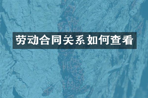 劳动合同关系如何查看