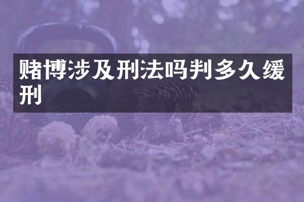 涉及刑法吗判多久缓刑