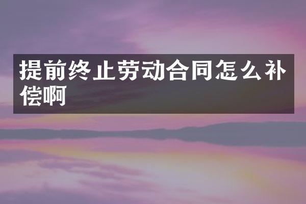 提前终止劳动合同怎么补偿啊