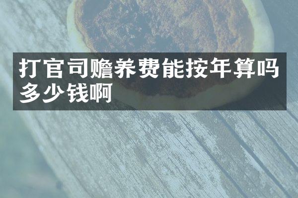 打官司赡养费能按年算吗多少钱啊