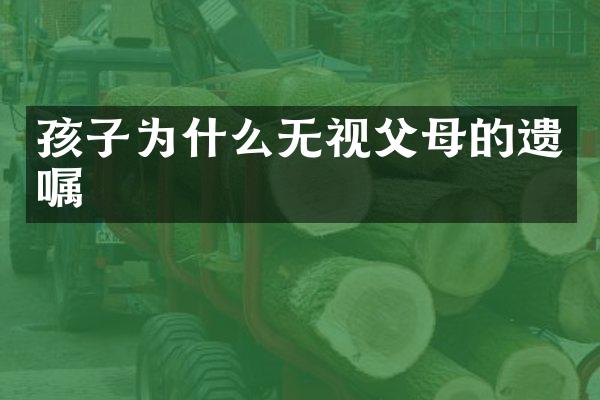 孩子为什么无视父母的遗嘱