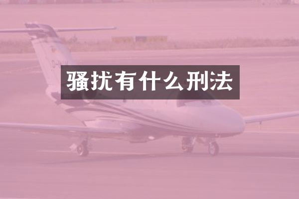 扰有什么刑法