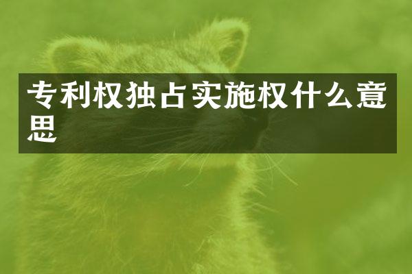 专利权独占实施权什么意思