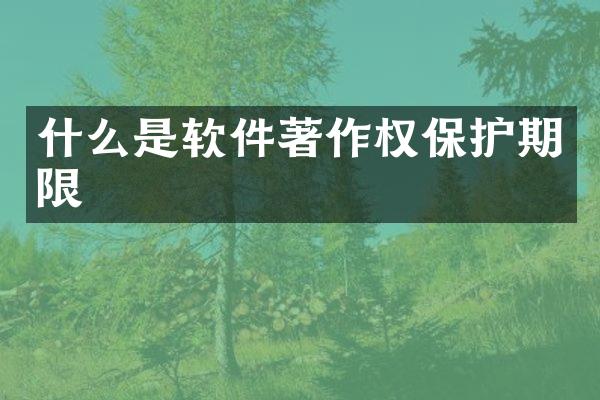 什么是软件著作权保护期限