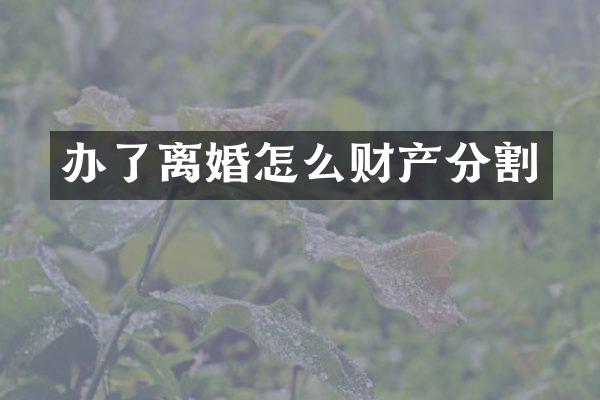 办了离婚怎么财产分割