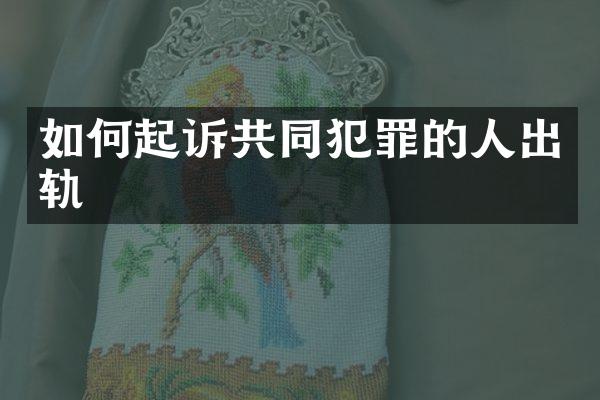 如何起诉共同犯罪的人出轨