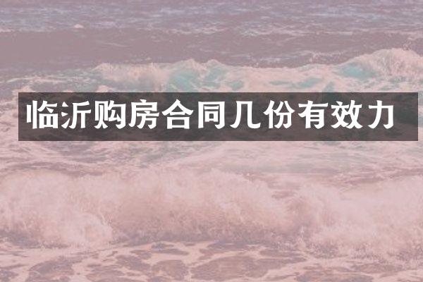 临沂购房合同几份有效力