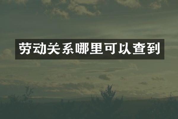 劳动关系哪里可以查到