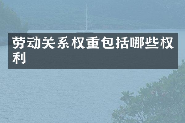 劳动关系权重包括哪些权利