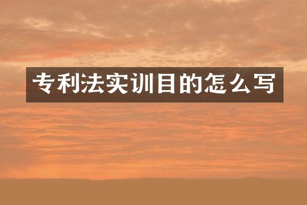 专利法实训目的怎么写
