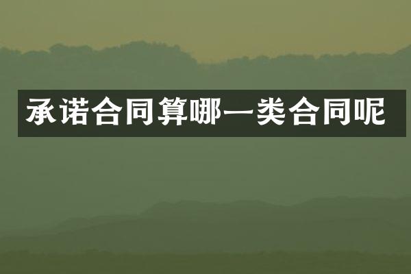 承诺合同算哪一类合同呢