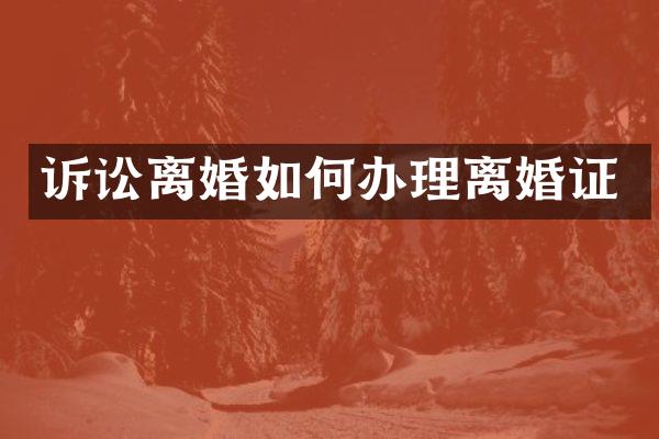 诉讼离婚如何办理