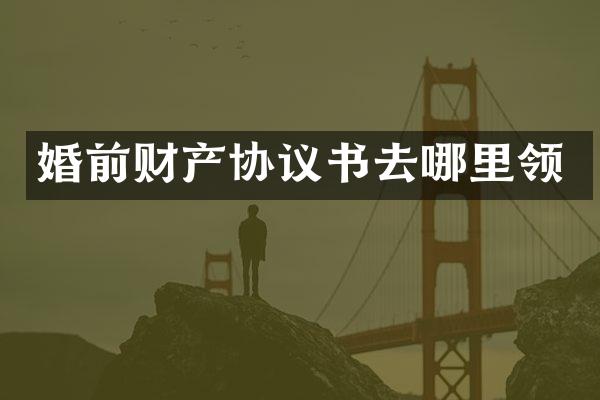 婚前财产协议书去哪里领