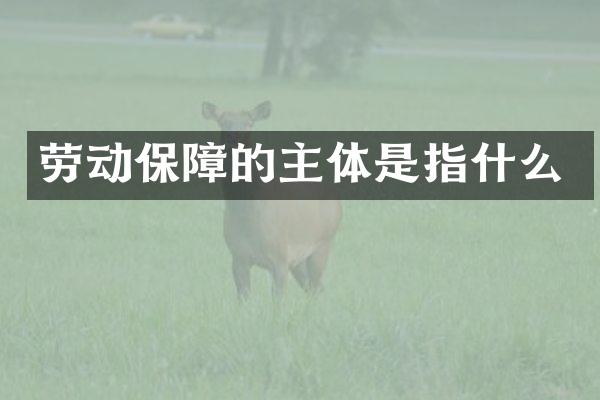 劳动保障的主体是指什么