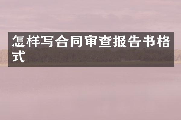 怎样写合同审查报告书格式