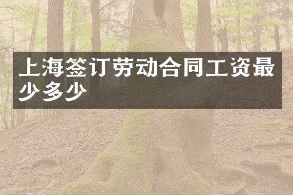 上海签订劳动合同工资最少多少
