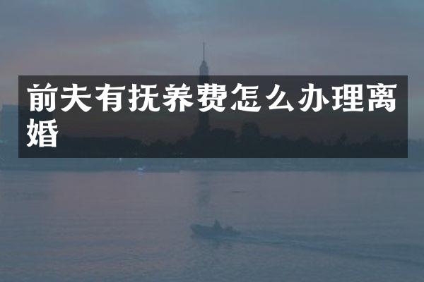 前夫有抚养费怎么办理离婚