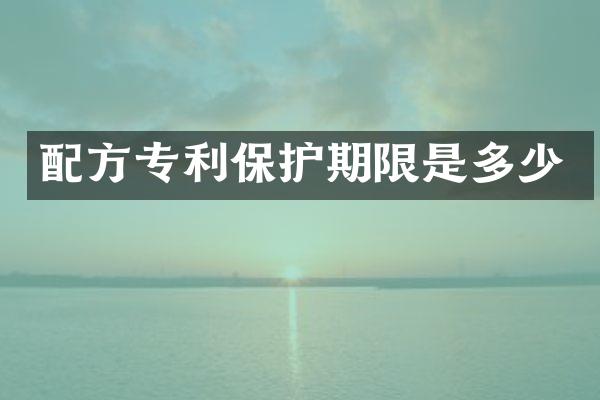 专利保护期限是多少