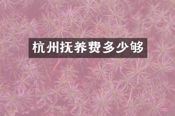 杭州抚养费多少够