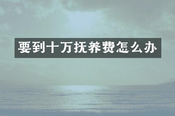 要到十万抚养费怎么办