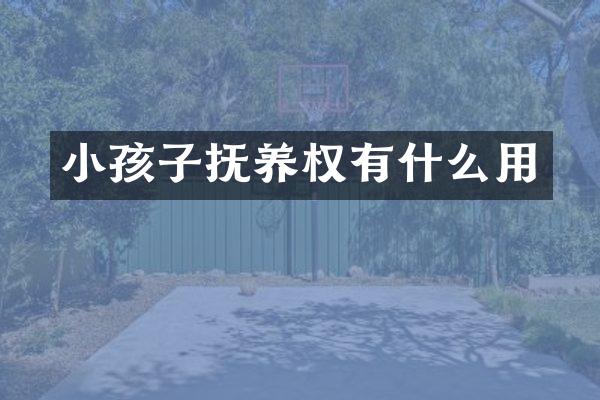 小孩子抚养权有什么用