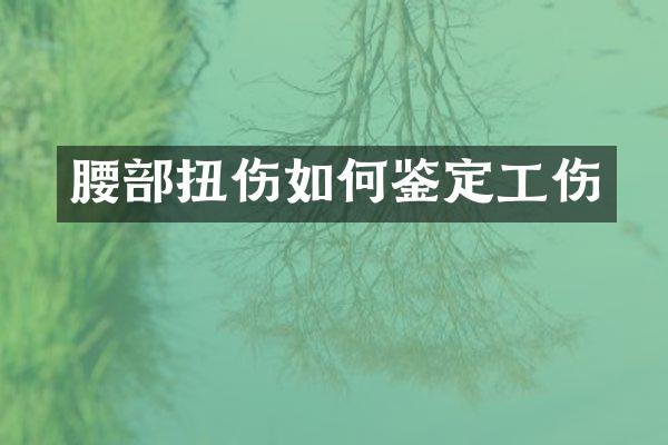 腰部扭伤如何鉴定工伤