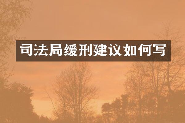 司法局缓刑建议如何写