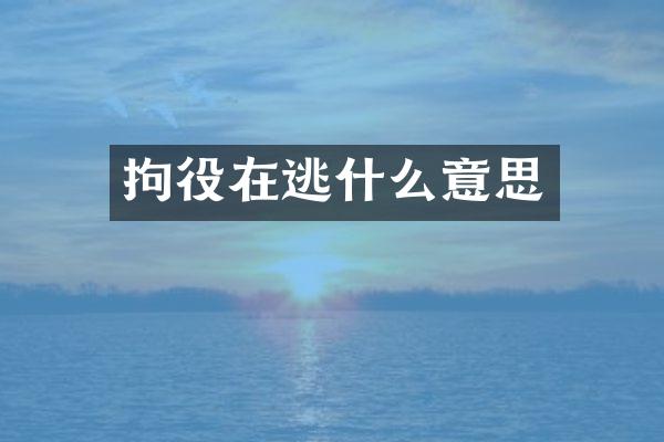 拘役在逃什么意思