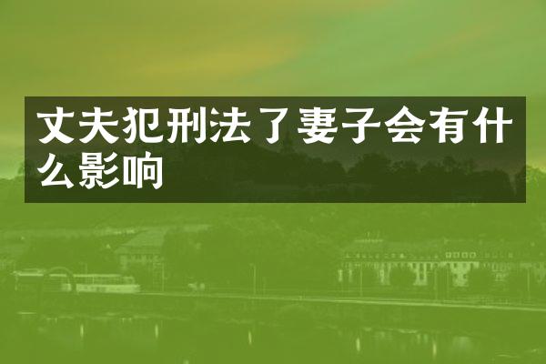 丈夫犯刑法了妻子会有什么影响