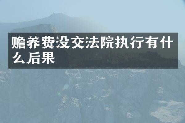 赡养费没交法院执行有什么后果