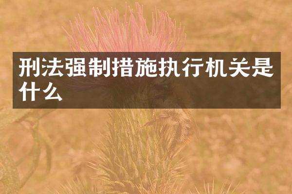 刑法强制措施执行机关是什么