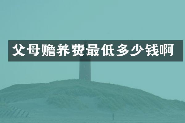 父母赡养费最低多少钱啊