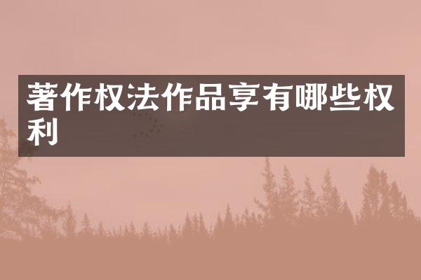 著作权法作品享有哪些权利