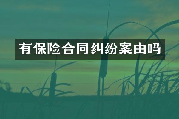有保险合同纠纷案由吗