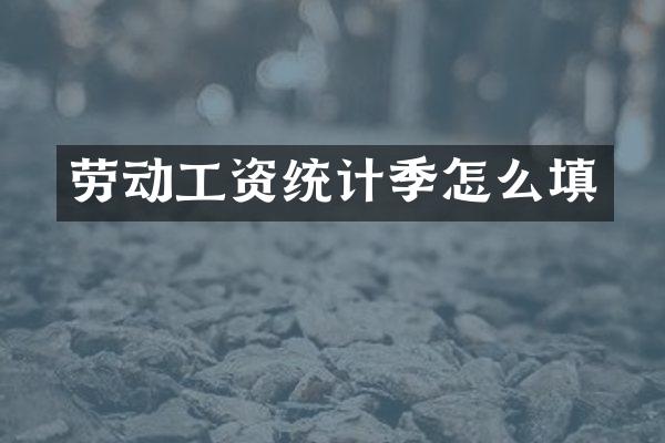 劳动工资统计季怎么填