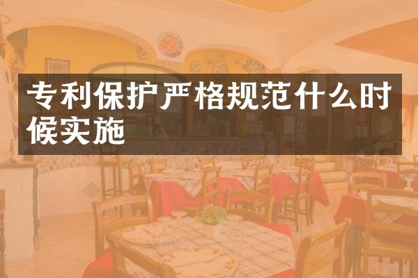 专利保护严格规范什么时候实施